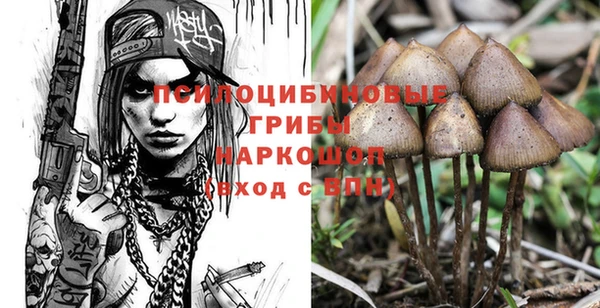 герыч Арсеньев