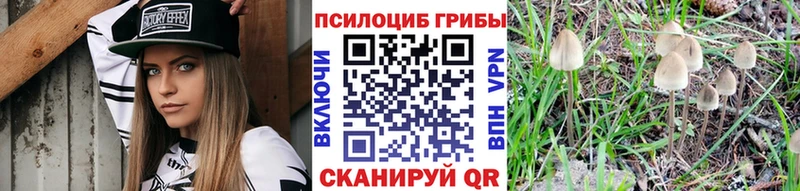 Псилоцибиновые грибы ЛСД  где купить наркотик  Калининск 